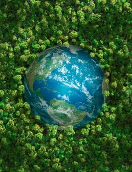 Ecology concept: aerial view of the earth surrounded by a  healthy forest. Computer generated. Subtle grain texture added. Earth's maps courtesy of http://www.shadedrelief.com